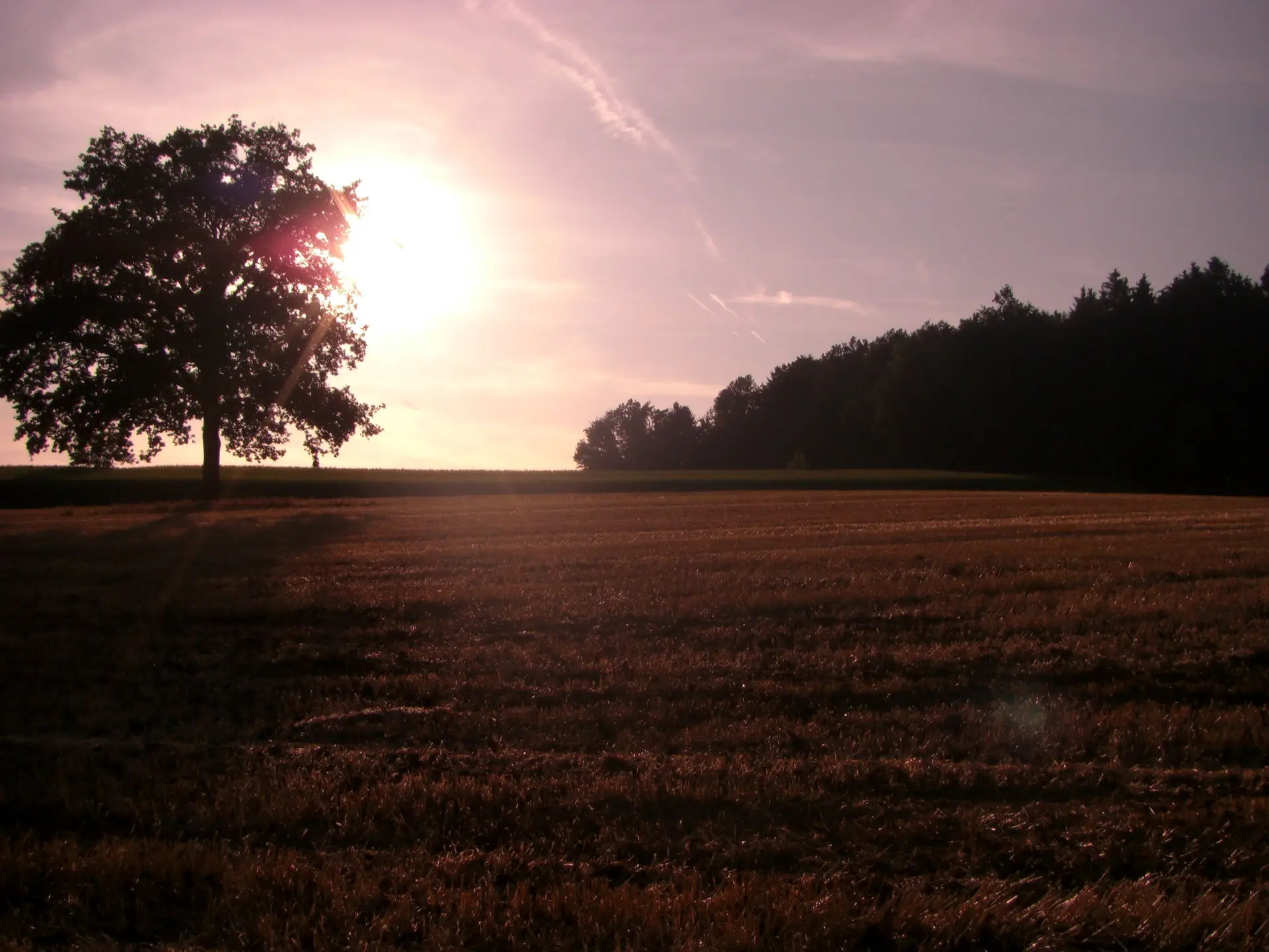 Camping Oberhofer — photo 3
